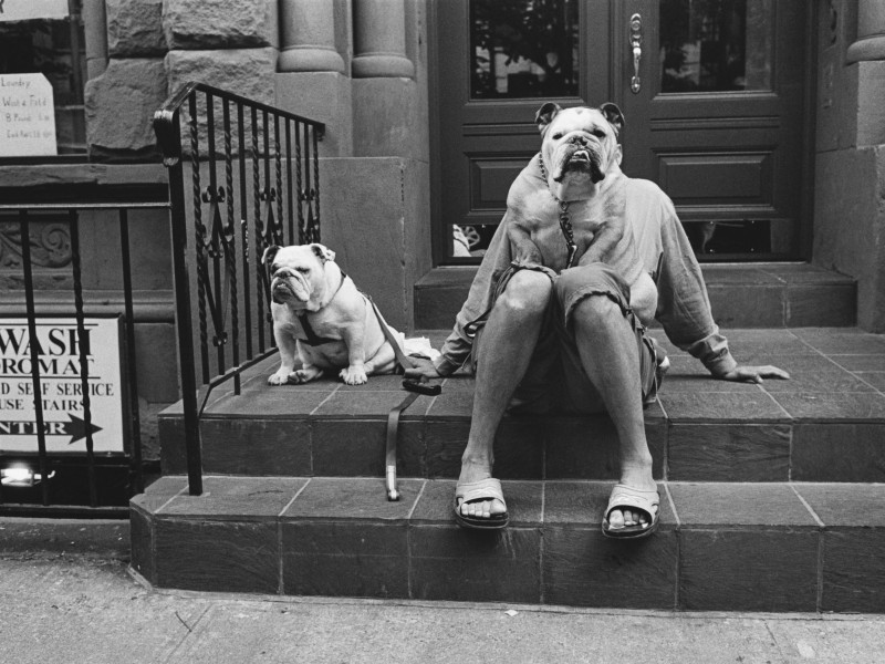 Elliott Erwitt/ RSF
