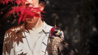 Emily & le faucon, Camden, Maine, 2018© Cig Harvey. Courtesy Robert Mann Gallery