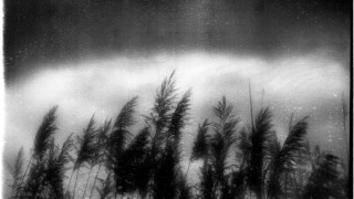 ©Jean-François Spricigo, invité en résidence de création