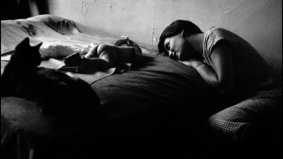 © Elliott Erwitt/Magnum Photos New York, Etats Unis 1953