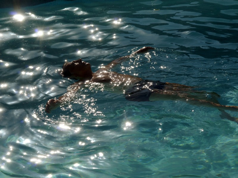 Cinq histoires de famille - Cinq regards - Cinq artistes