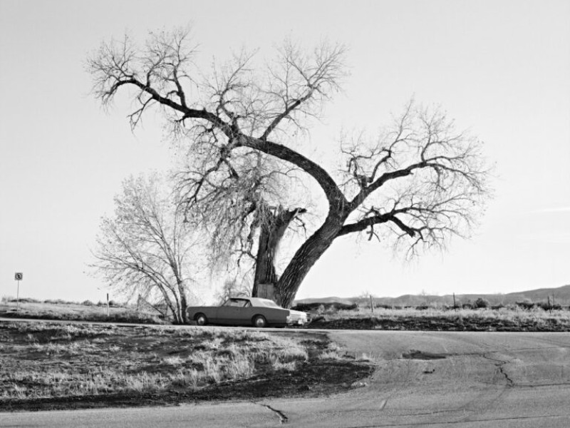 « She dances on Jackson » Vanessa Winship