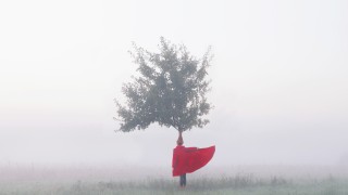 Maia Flore