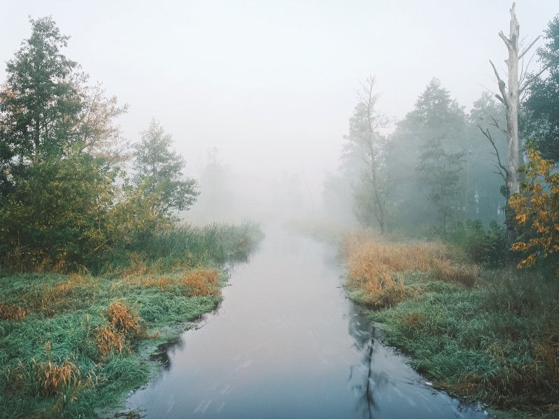 D'une rive à l'autre