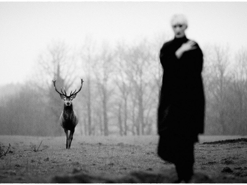 Jean - François Spricigo