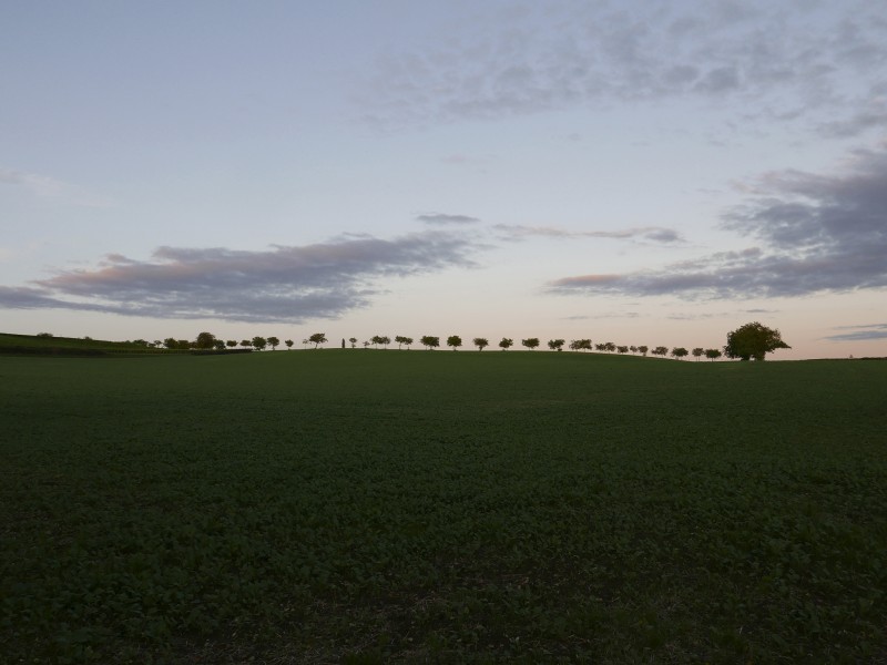Arièle Bonzon à Lyon