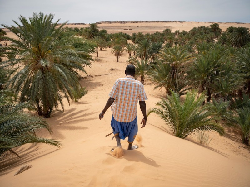 Jérômine Derigny et le Collectif Argos