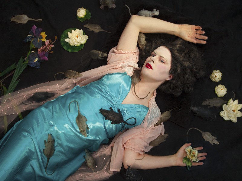 Les cauchemars hollywoodiens de Raphaël Neal