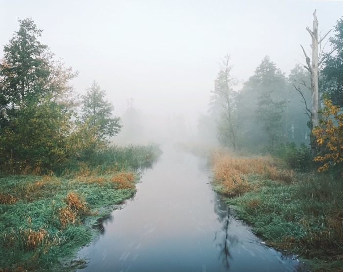 Andréa Olga Mantovani "S'enforester"