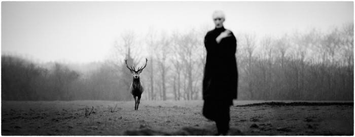 © Jean-François Spricigo