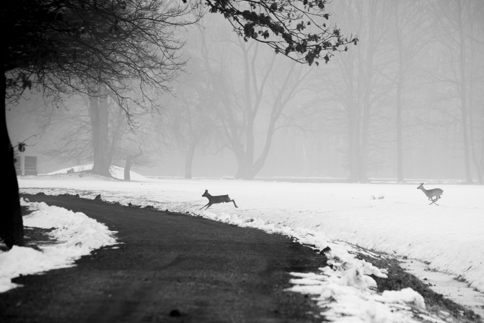 © Michel Slomka