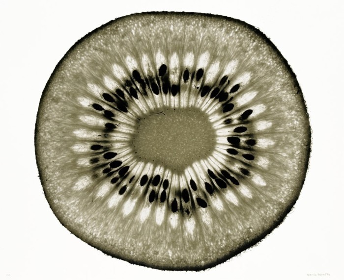 Coupe de kiwi, 1990. Tirage argentique, virage fer-vanadium. 40 x 48 cm