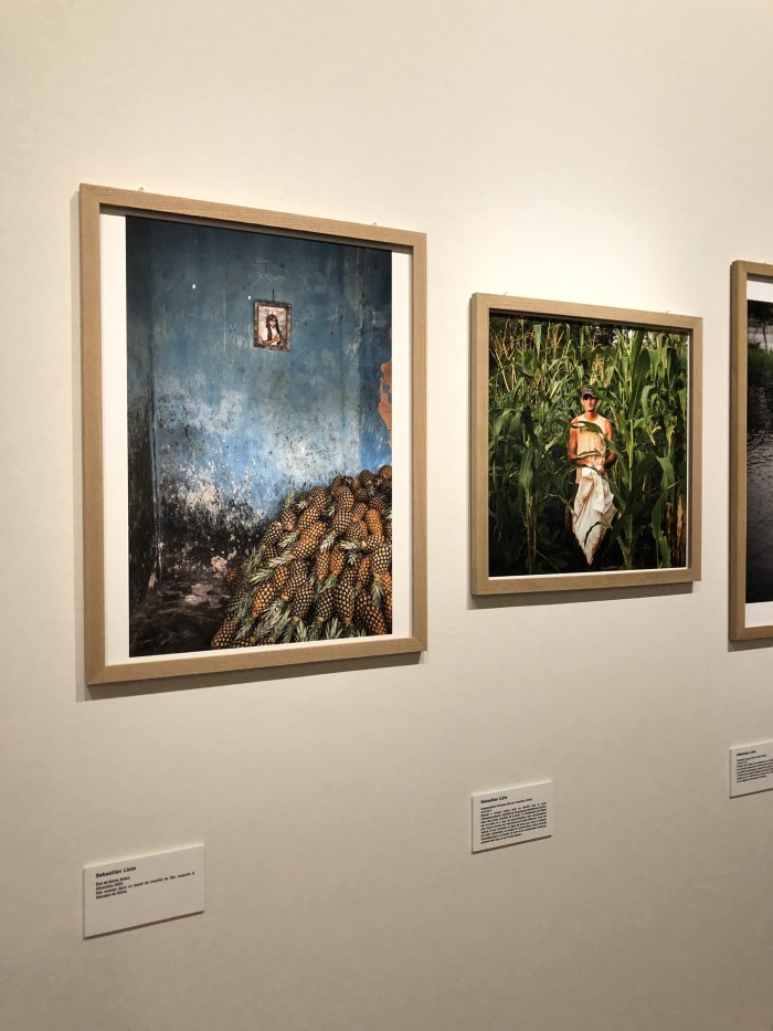 Dans l'exposition AGENCE NOOR